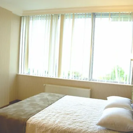 Отель Lounge 2*